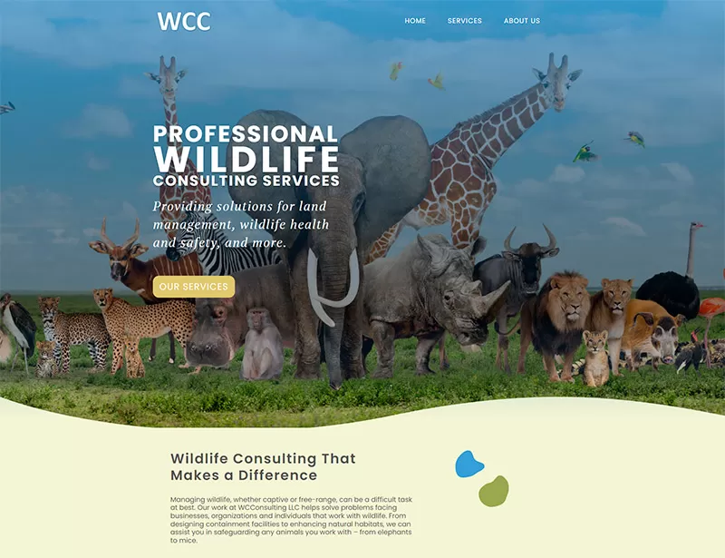 wc-consulting