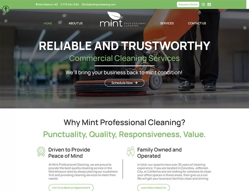 mint-cleaning-portfolio